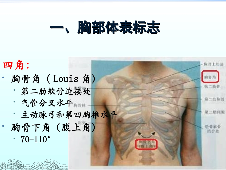 胸部体格检查整理版_第2页