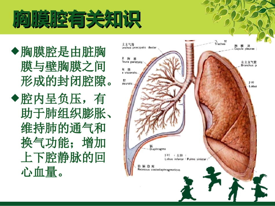 胸腔闭式引流及护理讲课_第3页