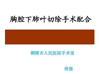 胸腔镜肺叶切除术