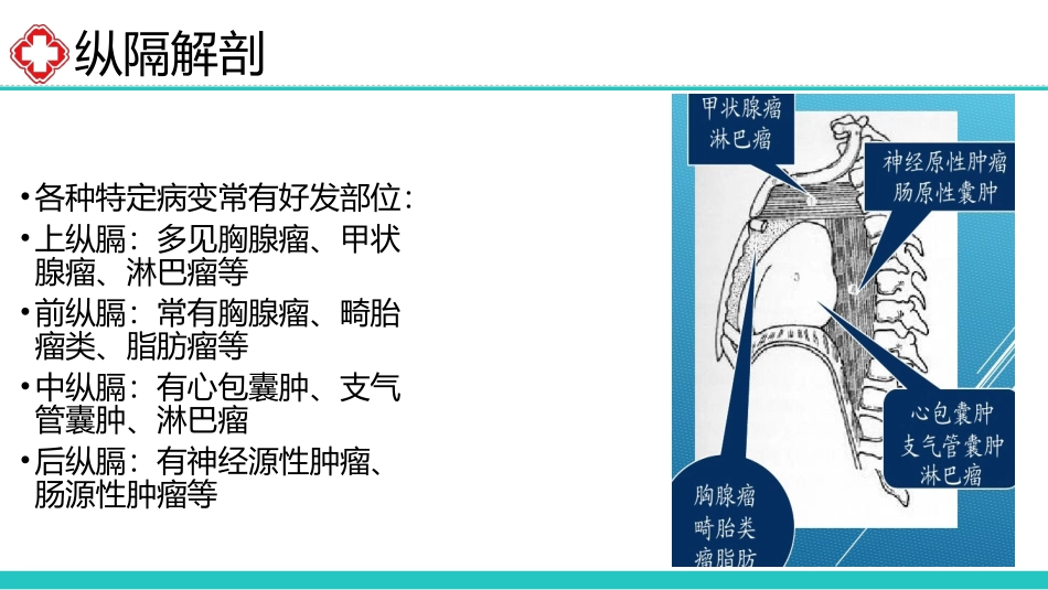 胸腺瘤诊疗治疗_第3页