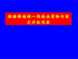 胸腰椎结核一期病灶清除内固定