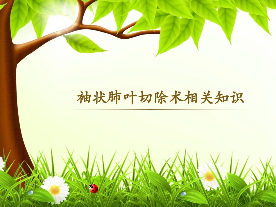 袖状肺叶切除术手术相关知识_第1页