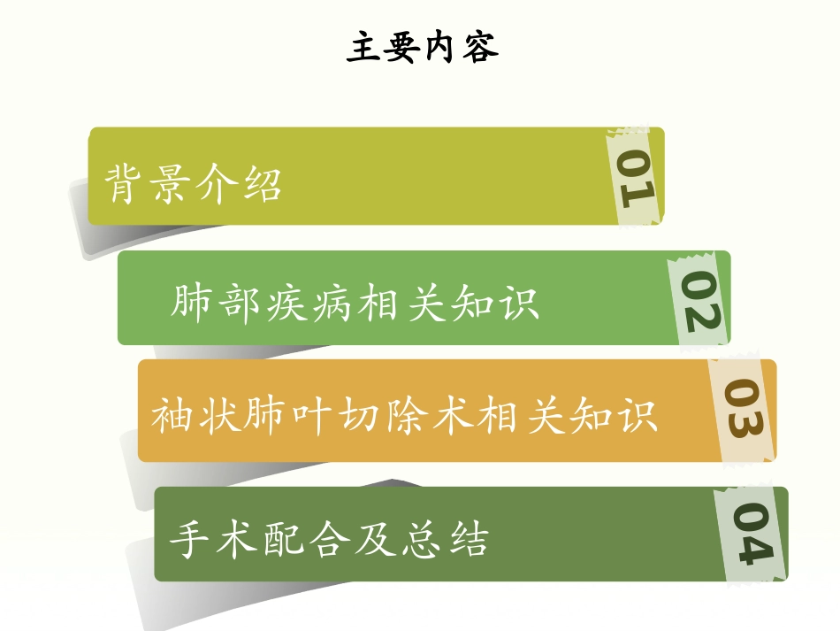 袖状肺叶切除术手术相关知识_第2页