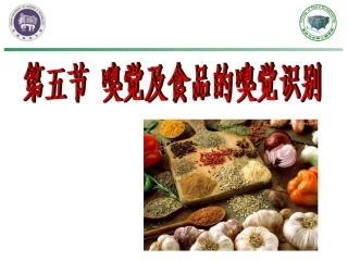 嗅觉及食品的嗅觉识别概述