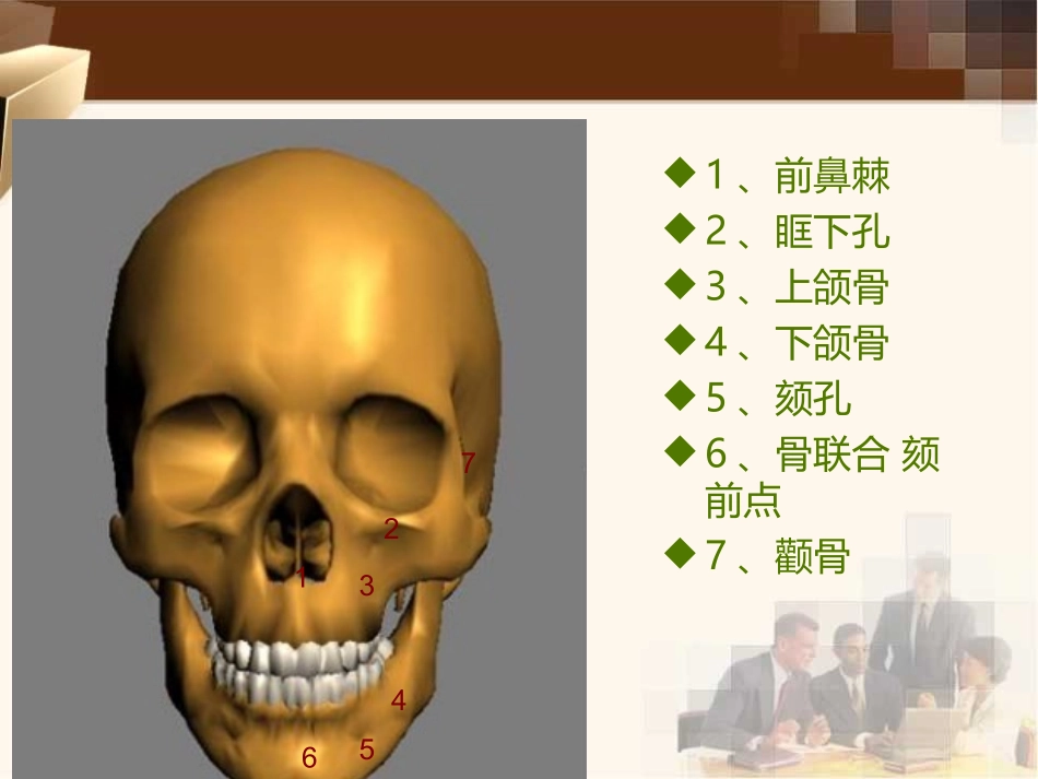 学习种植牙应用解剖_第3页