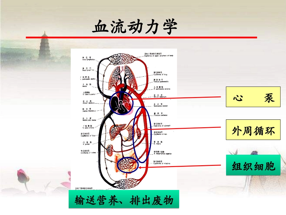 血流动力学和氧代谢监测_第2页