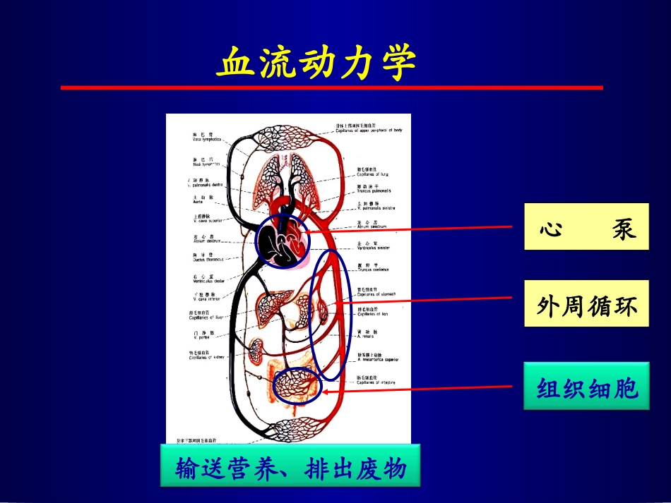 血流动力学和氧代谢监测陆国平_第2页