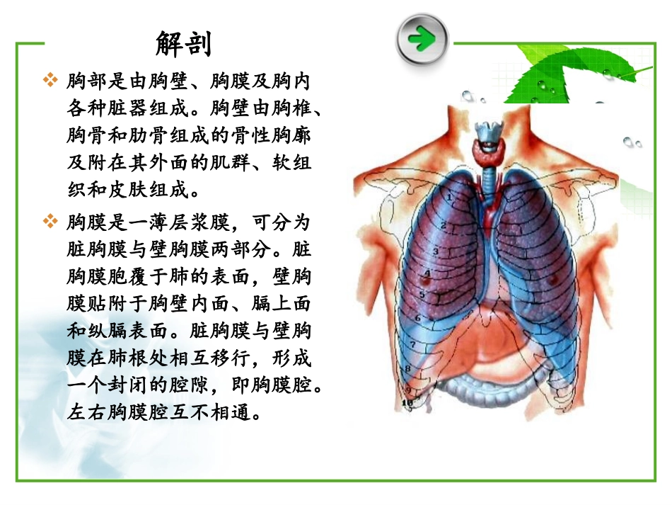 血气胸病人护理_第2页