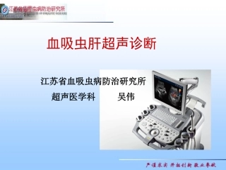 血吸虫肝超声诊疗新