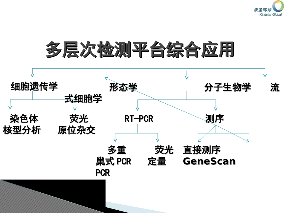 血液病分子病理诊疗_第2页