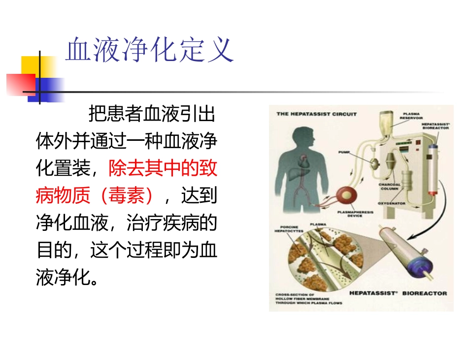 血液净化的概念原理和模式_第2页