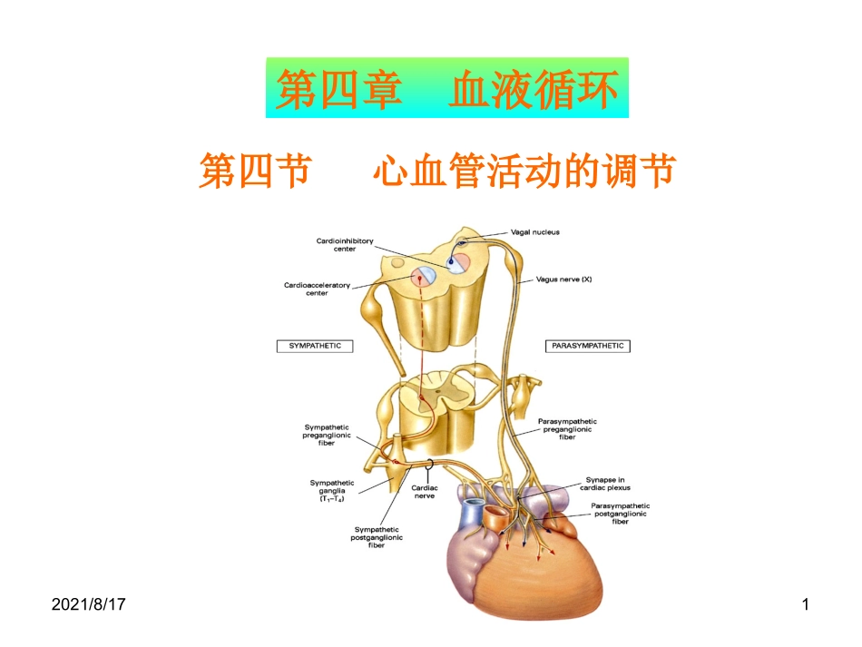 血液循环心血管活动调节_第1页