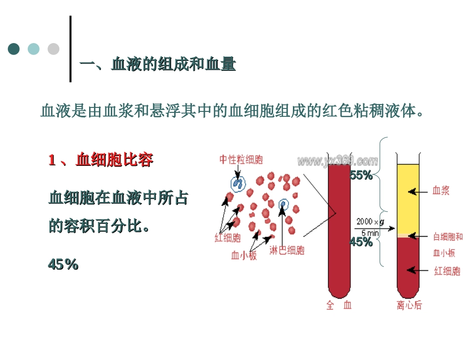 血液组成及功能_第3页