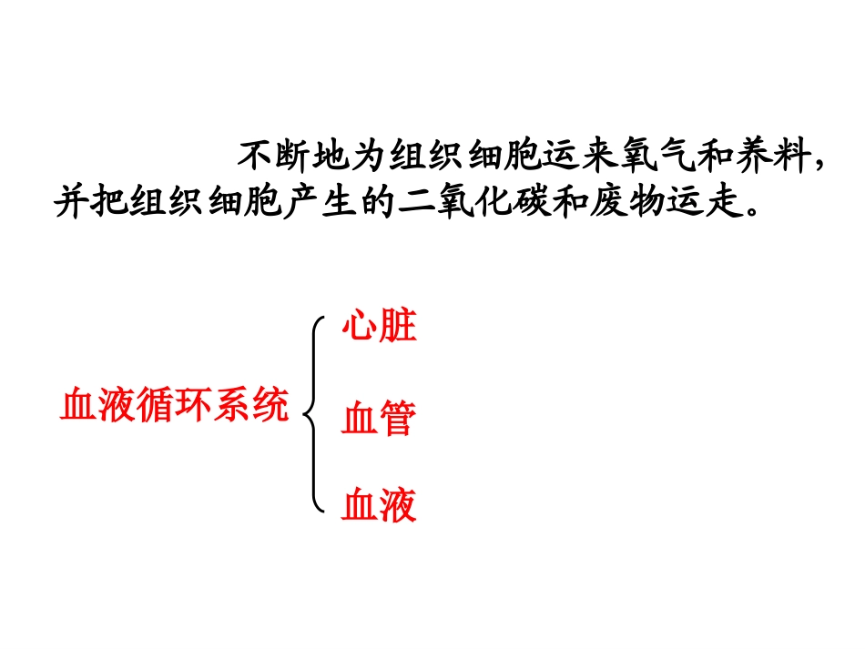 循环系统课件_第2页