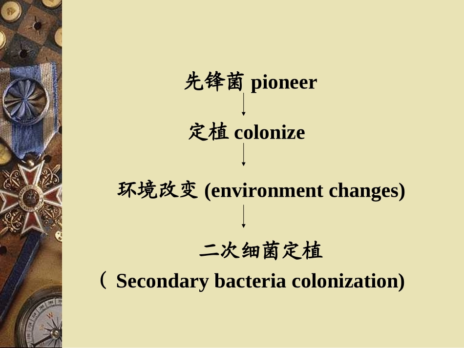 牙菌斑唾液和龈沟液的采集和处置_第2页