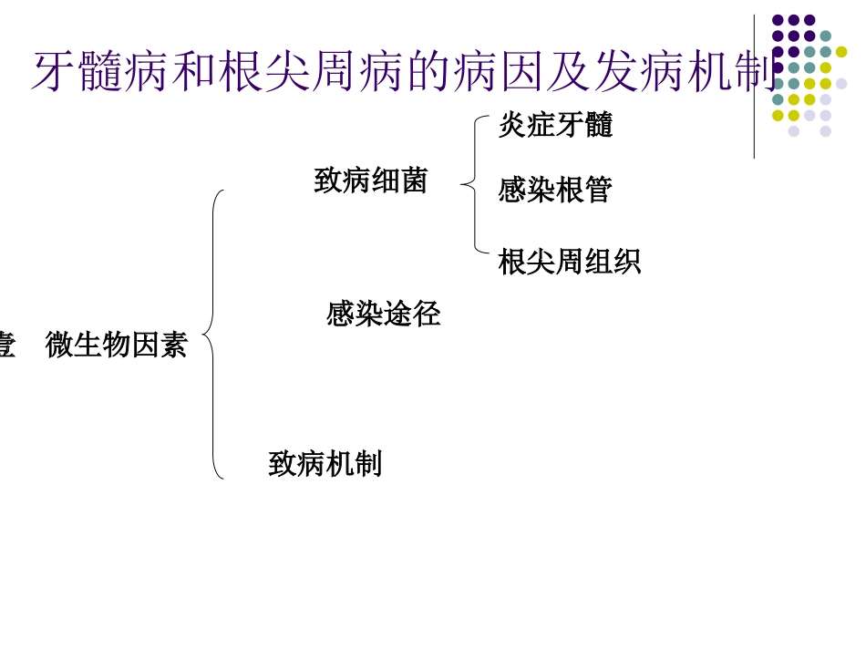 牙髓病分类及其诊疗治疗_第2页