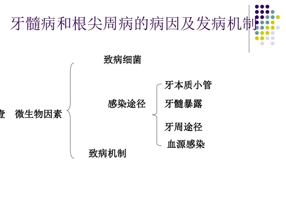 牙髓病分类及其诊疗治疗_第3页