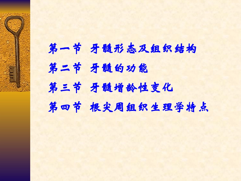 牙髓及根尖周组织解剖和生理学特点_第2页