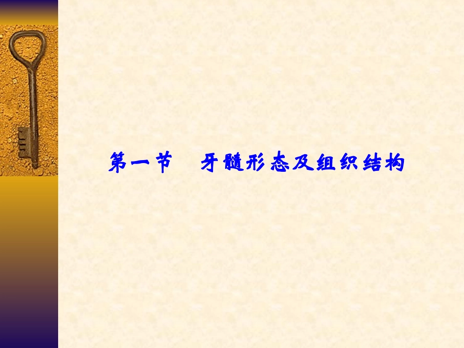 牙髓及根尖周组织解剖和生理学特点_第3页
