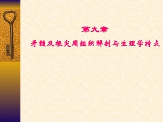 牙髓及根尖周组织解剖和生理学特点