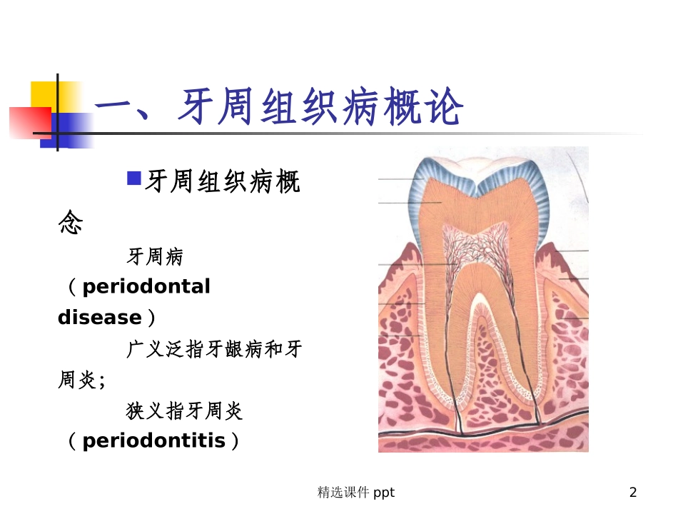 牙周组织病课件_第2页