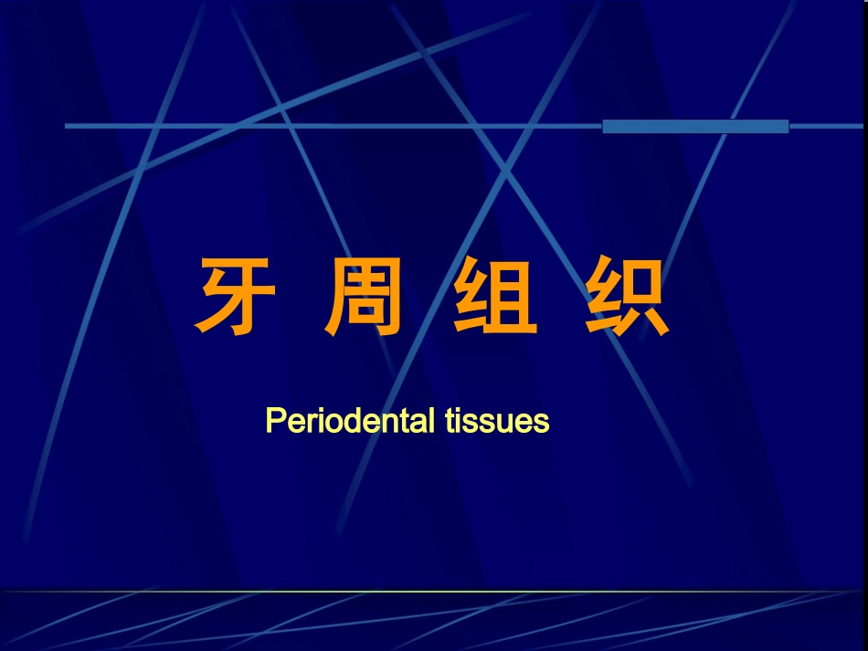 牙周组织课件_第1页