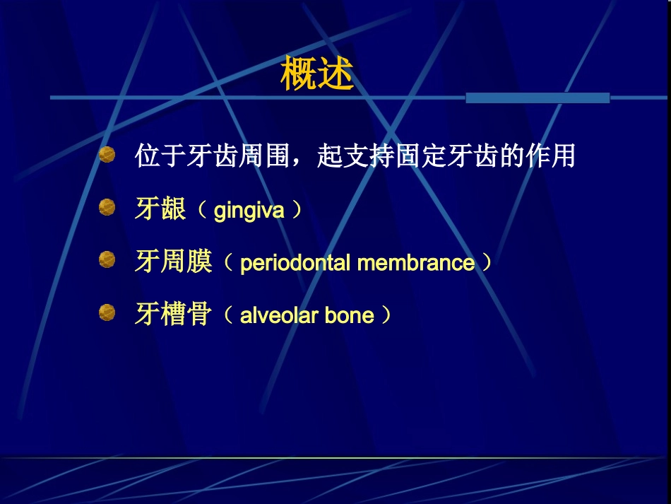 牙周组织课件_第2页