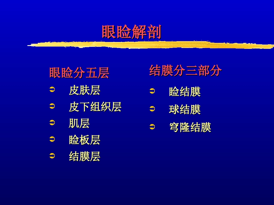 眼睑解剖汇总_第2页