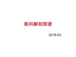眼科常用解剖图谱