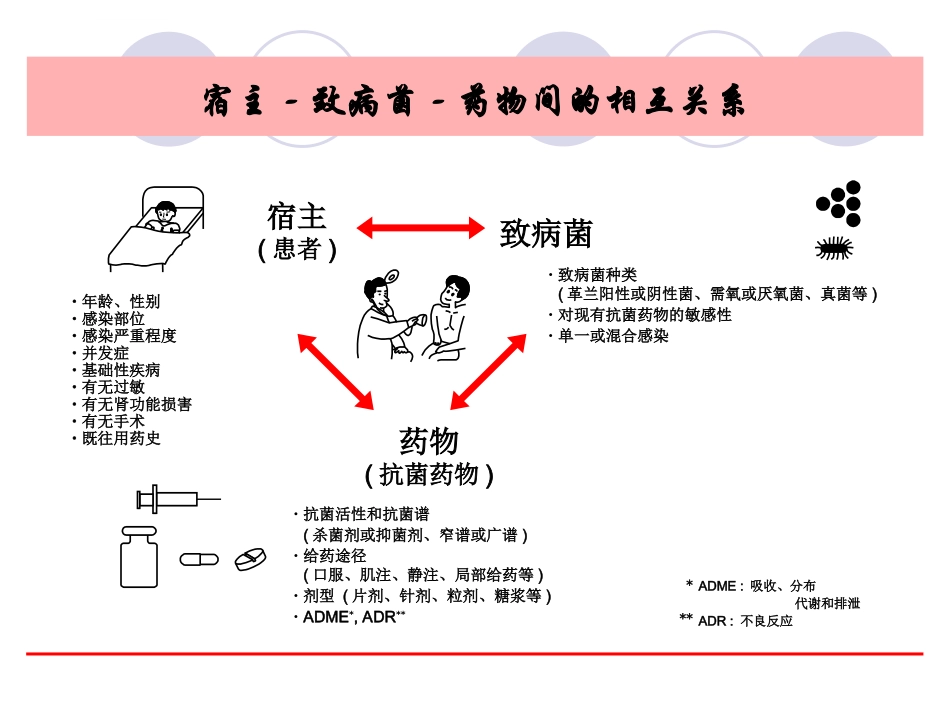 眼科感染课件_第2页