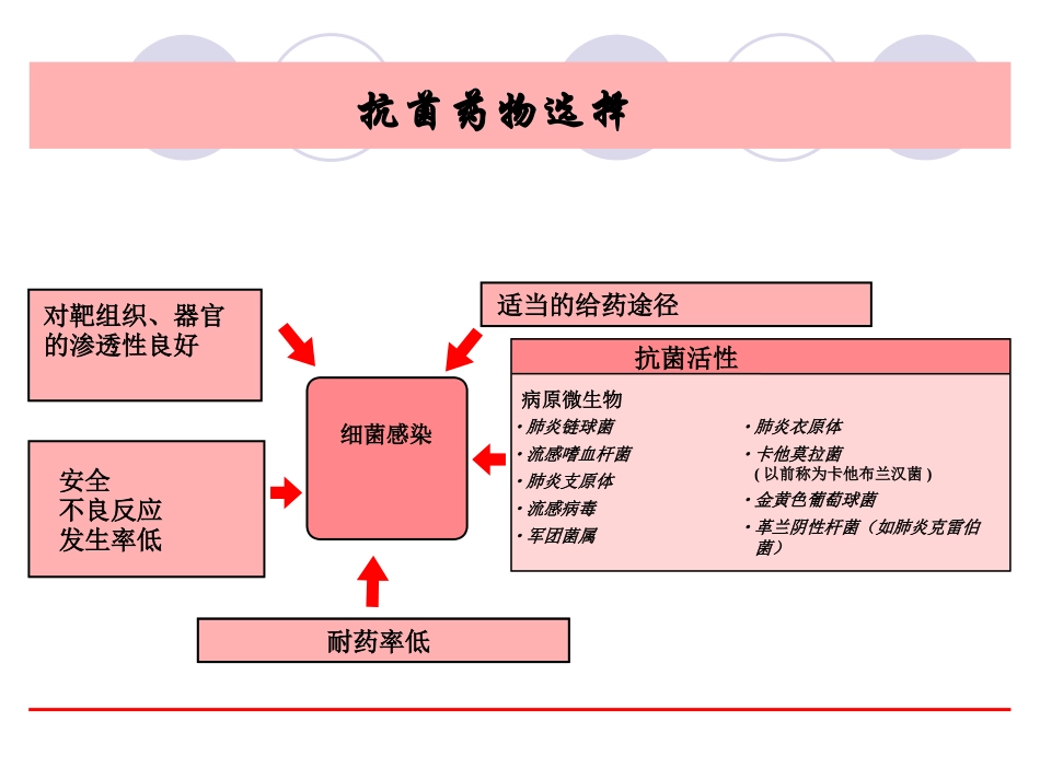 眼科感染课件_第3页