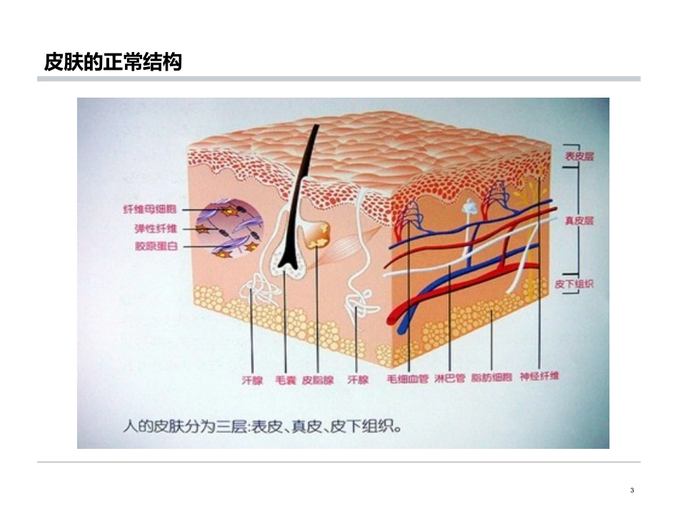 眼科皮肤外伤的处置_第3页