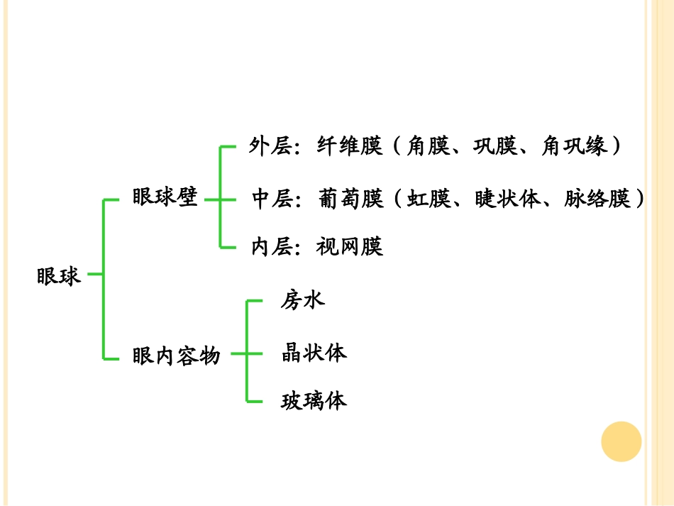眼球的解剖和生理_第2页