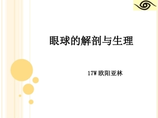 眼球的解剖和生理