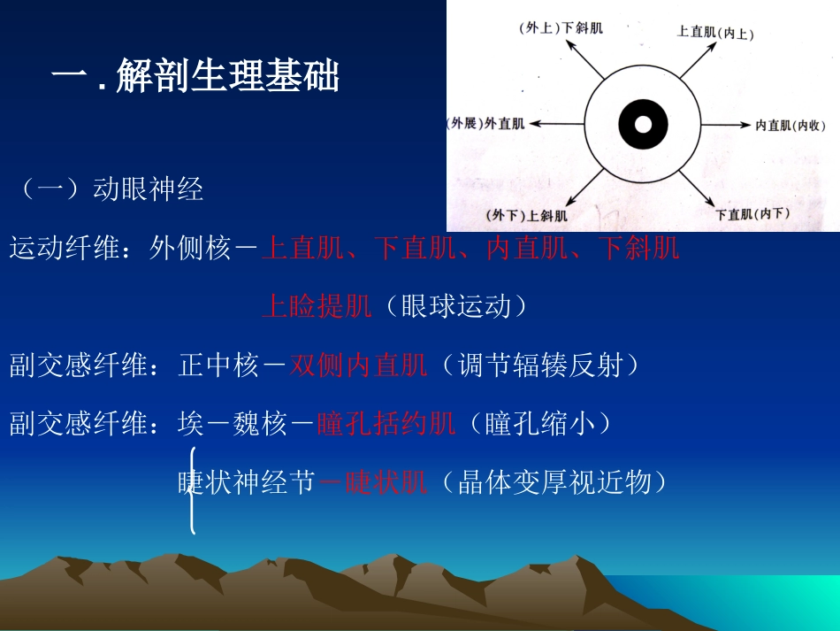 眼球运动及解刨_第3页