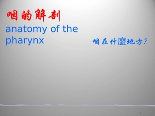 咽的解剖课件