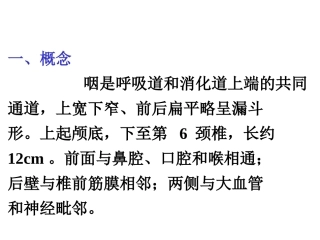 咽的解剖生理咽炎