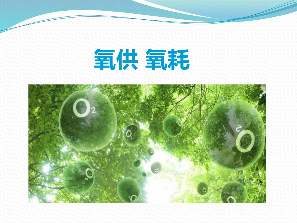 氧供氧耗课件整理版_第1页