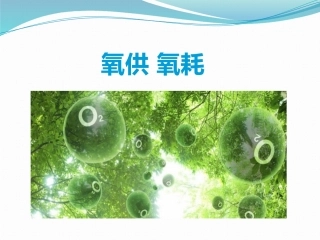 氧供氧耗课件整理版