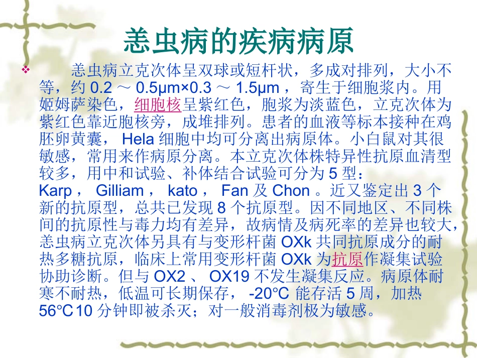 恙虫病的护理措施_第3页