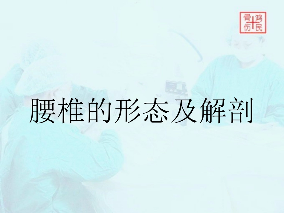 腰椎X线阅读_第2页