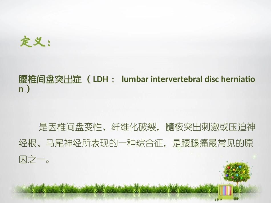 腰椎间盘突出症_第2页