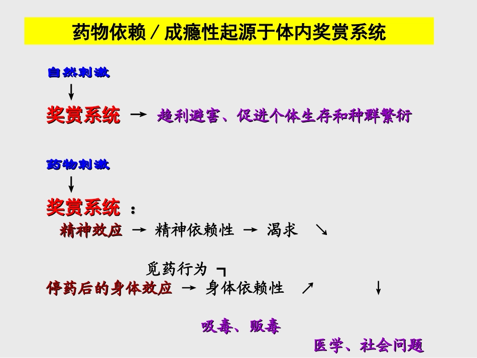 药物成瘾和药物滥用_第2页