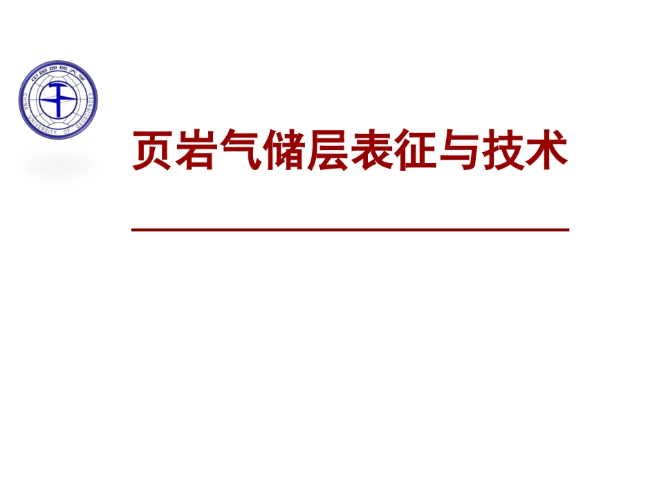 页岩气储层表征和技术汇报_第1页