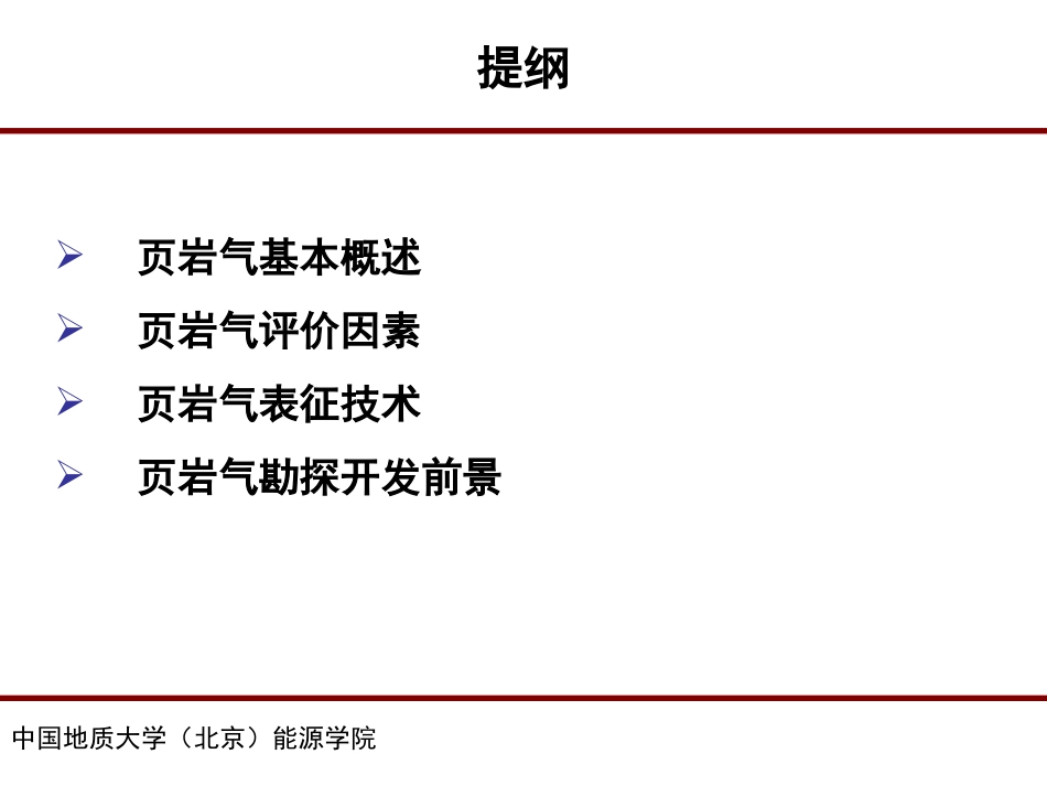 页岩气储层表征和技术汇报_第2页