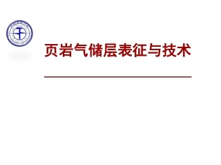 页岩气储层表征和技术汇报