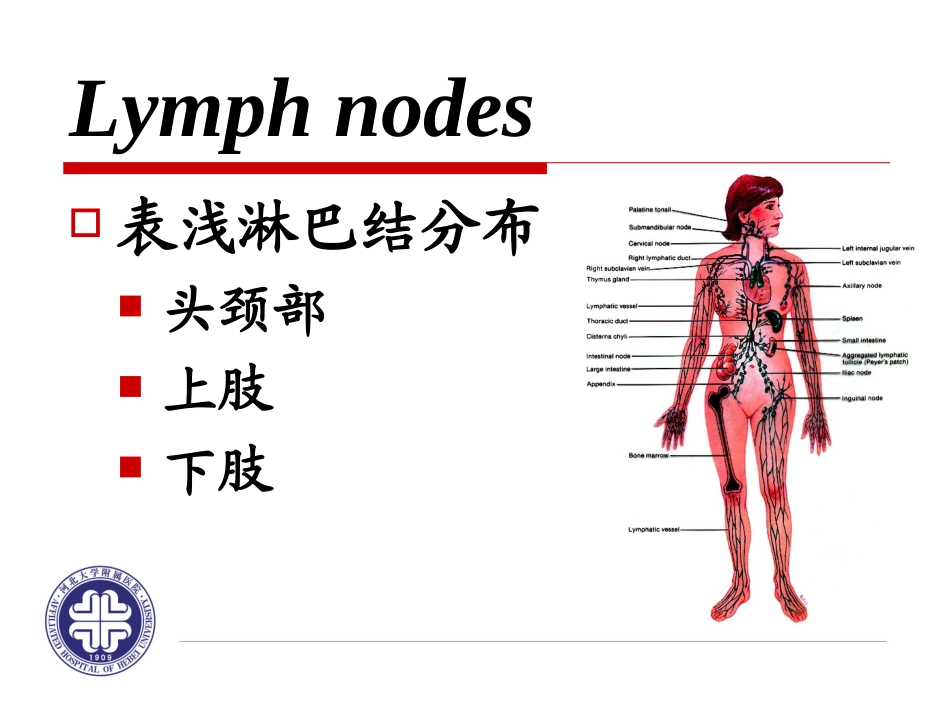 一般检查淋巴结解析_第3页