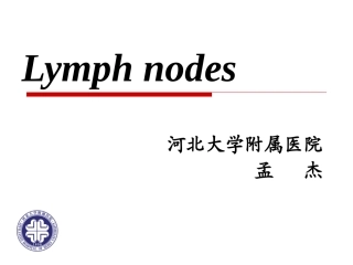 一般检查淋巴结解析