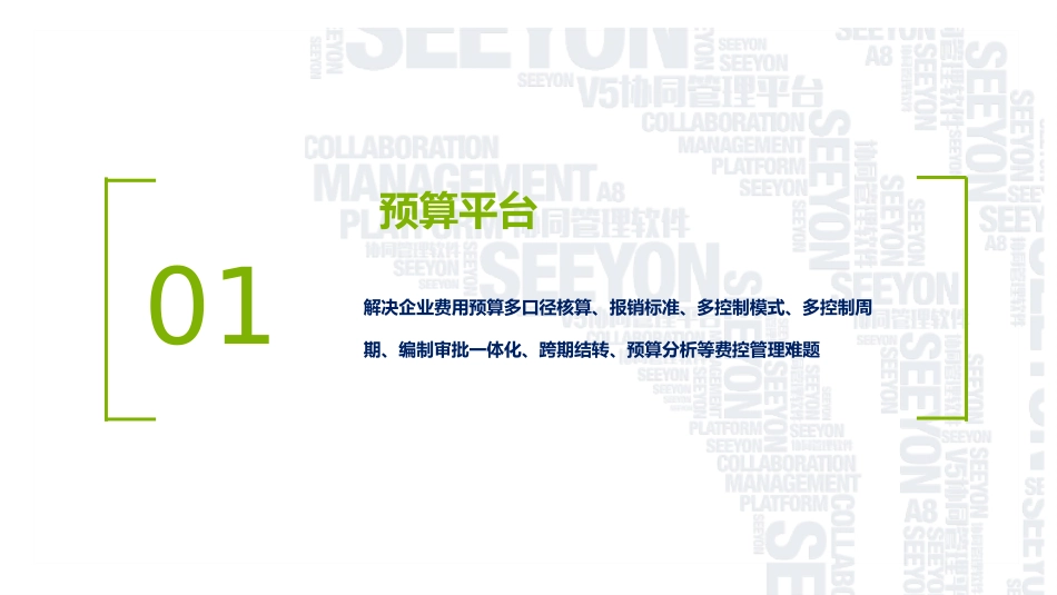 一体化费控平台解决方案_第3页