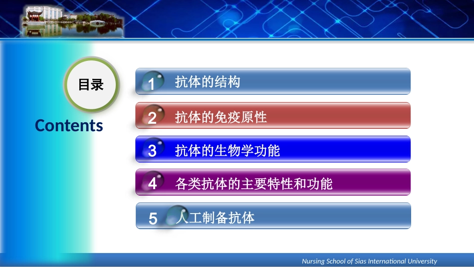 医学免疫学课件抗体_第2页